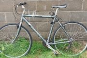 TREK Mountain Bike