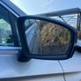2020 Volkswagen Tiguan Breaking For Parts Image 7