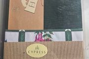 Vintage Apron and Glove set