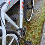 bike Image 2