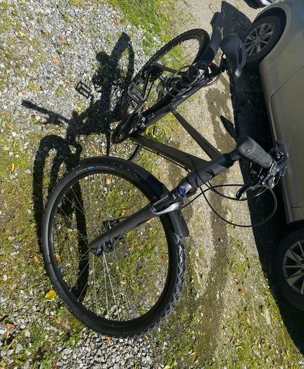 Hybrid bike
