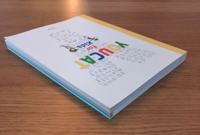 Youcat for Kids book