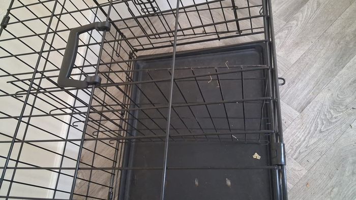 dog cage