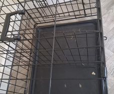 dog cage