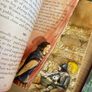Selection of educational Usborne books Image 2
