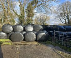 Silage Bales