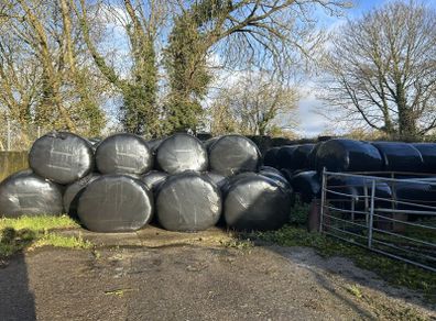 Silage Bales