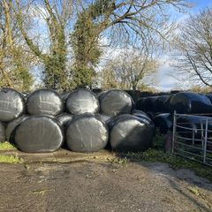 Silage Bales