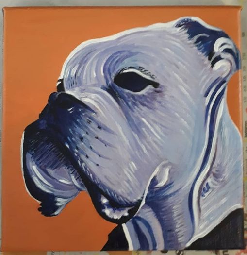 Pet Portraits