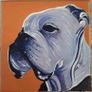 Pet Portraits Image 5