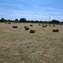 Top quality Square hay bales Hollymount claremorri Image 3