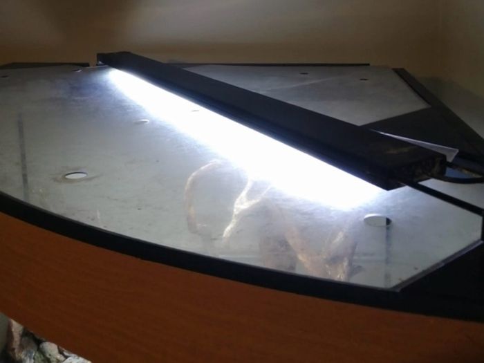 Two Beautiful Fish Aquariums A JEWEL Rio 180 and a JEWEL Trigon 350