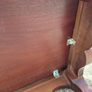 Mahogany Coffee Table - Queen Anne Style Image 6