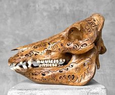 Authentic Hand Carved Wild Boar Skull - Bone