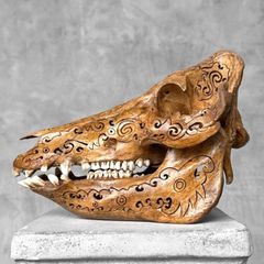Authentic Hand Carved Wild Boar Skull - Bone