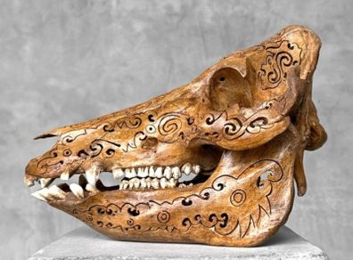 Authentic Hand Carved Wild Boar Skull - Bone