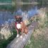 laylatheboxer