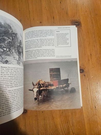A Passion For Donkeys. By Dr Elizabeth D. Sevendsen. Large Volume Paperback In Good Condition.  See Photos For Same.