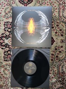 Pearl Jam: Dark Matter LP