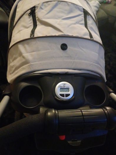 buggy