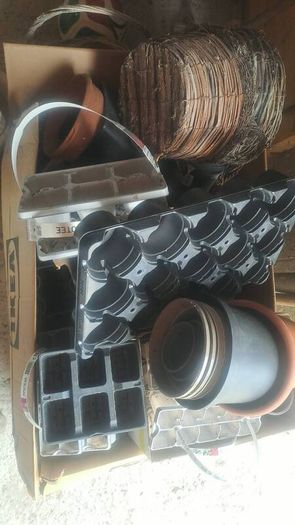 Variety of Gardening Pots