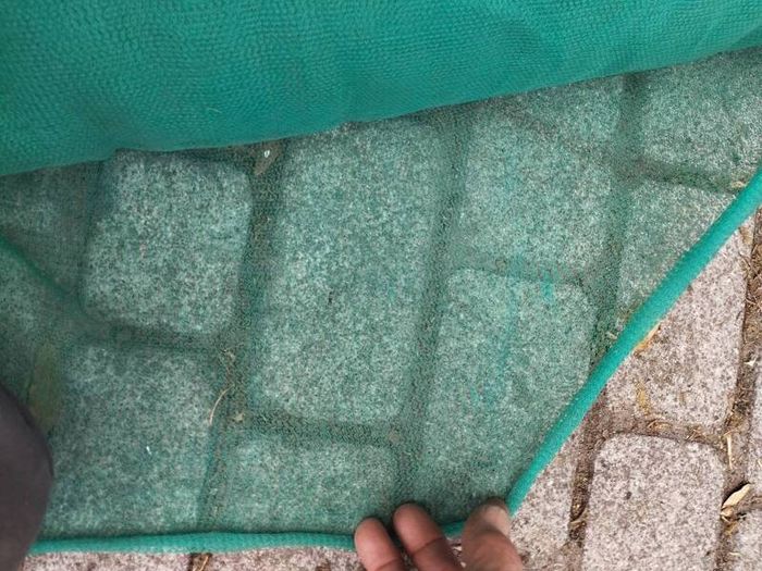Green Netting