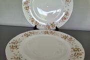 Dinner Plates