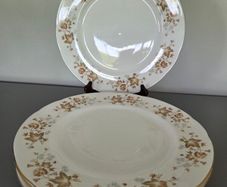 Dinner Plates