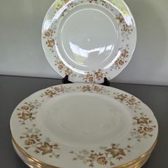 Dinner Plates