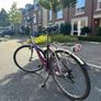 Ladies/ women bike Image 2