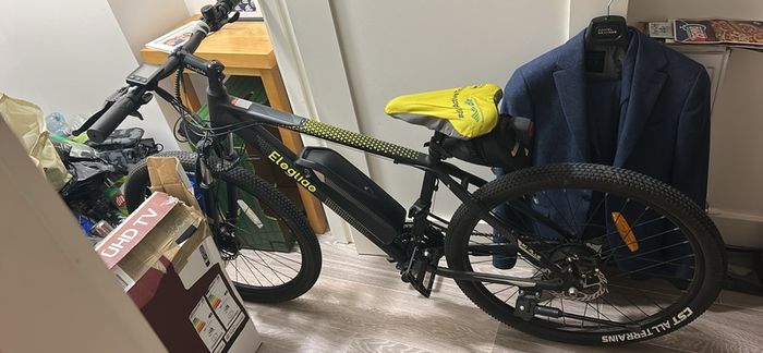Eleglide M1 Plus electric mountain bike