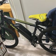 Eleglide M1 Plus electric mountain bike
