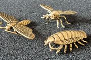 3 brass Insects, Solid brass.