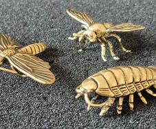 3 brass Insects, Solid brass.