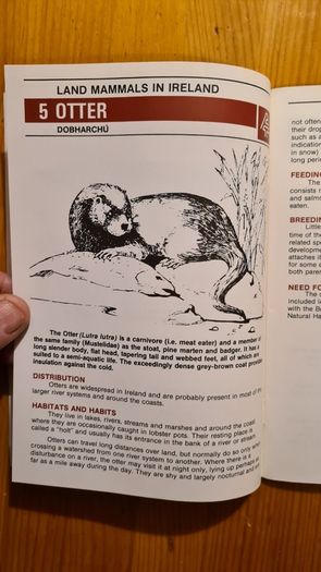Land Mammals In Ireland. Issued By Forest And Wildlife Service. Leesonane Dublin. Booklet.1986.