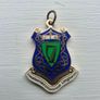 Leinster GAA Medals Image 4