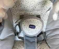 Chicco Swing and Play