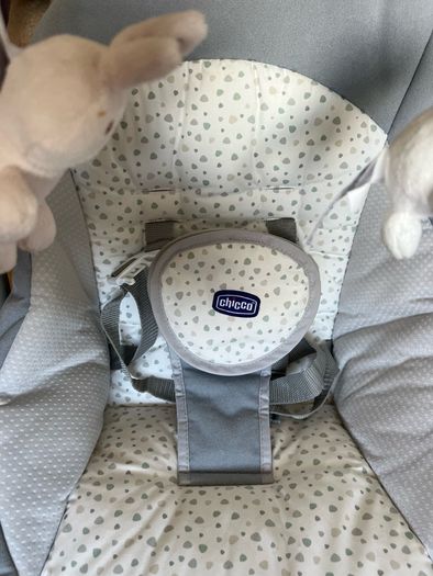 Chicco Swing and Play