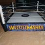 WWE Ring and Wrestelers Image 8