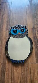 owl mirror