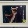 The deer & the fly fully framed printed photograph Image 2