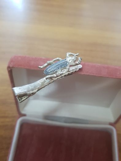 Vintage Beetle Hair pin