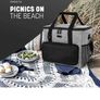 Insulated cooler bag x2 Image 2
