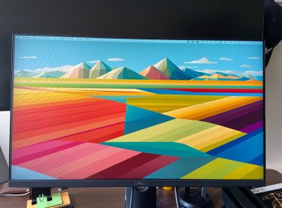 Monitor 24" Dell P2419H