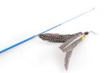 Funny Feather Cat Toy