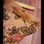Vintage Clutch Bead Bag Image 8