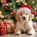 Christmas.2026