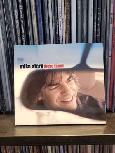 Mike Stern - These Times