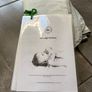 baby Image 7