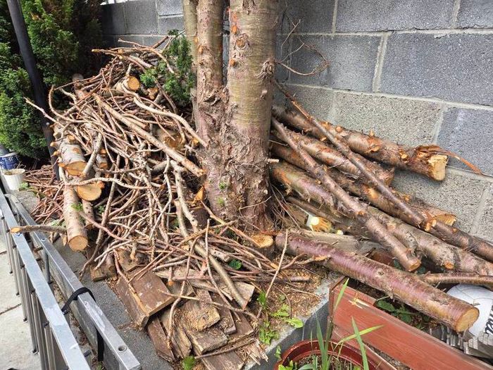 Fire wood